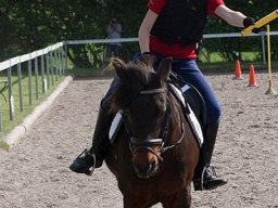 img-00901-557